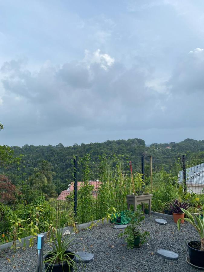 Villa Mahault Petit-Bourg Ngoại thất bức ảnh